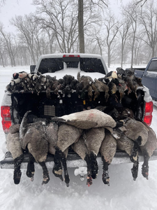 Lake Erie's Duck Quest